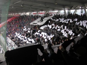 Sturm Graz Fans