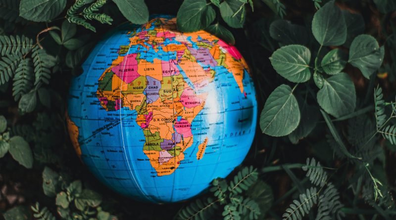 Globus mit Fokus Afrika liegt in Blättern