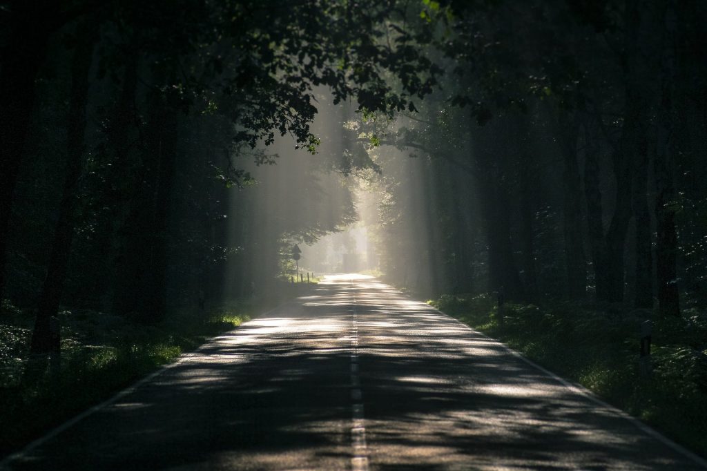 Straße im Wald, Sonnerstrahlen leuchten durch