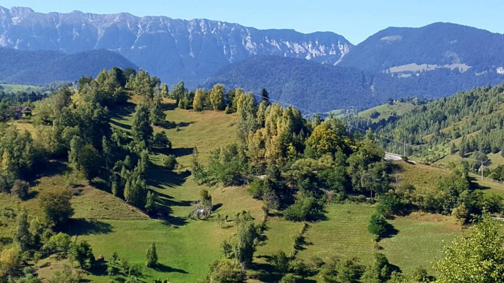 Landschaftsaufnahme aus den Karpaten