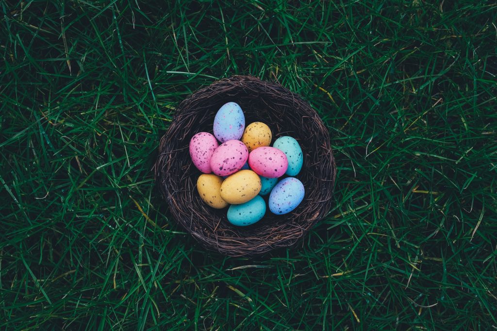 Bunte Eier in einem Nest