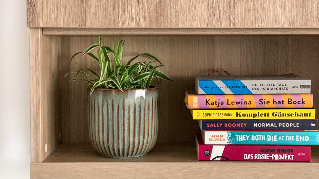 Staple Bücher auf einem Regal, daneben eine kleine Pflanze