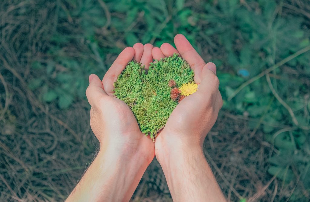 Hände die Moos halten
