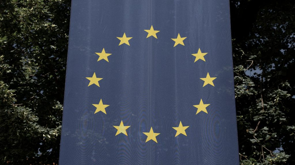 Nahaufnahme der EU-Flagge, dahinter Blätter von Bäumen