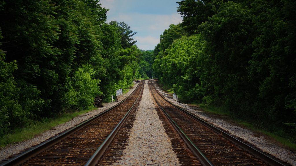 ZWei Eisenbahnschienen die durch einen Wald führen
