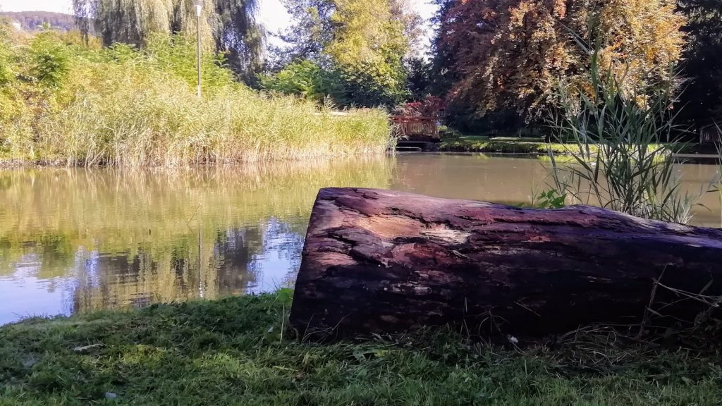 Baumstamm liegt im Gras, dahinter ein See