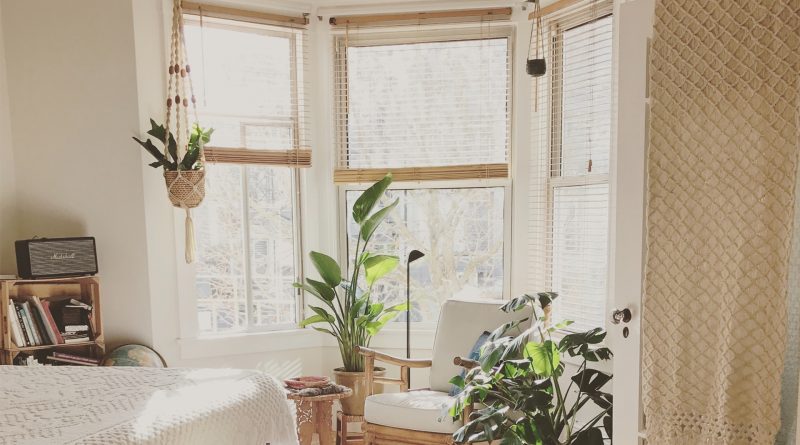 Wohnung mit Fenstern und Pflanzen