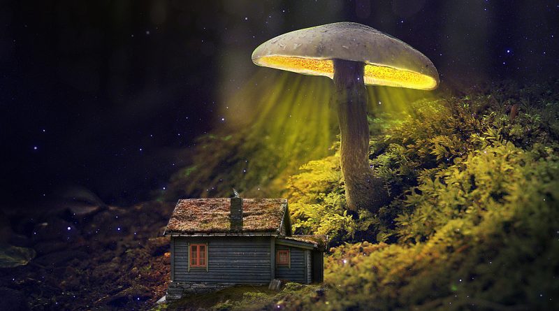 Fotomontage: Holzhütte steht unter einem beleuchteten Pilz