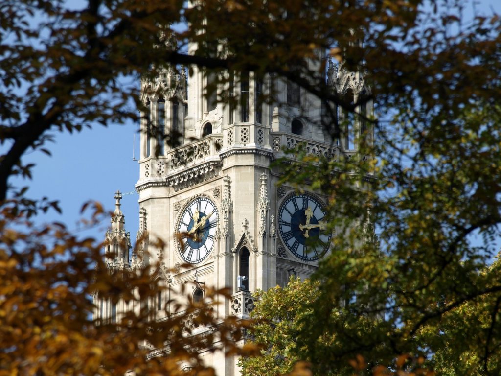 Wiener Rathaus durch Bäume fotografiert