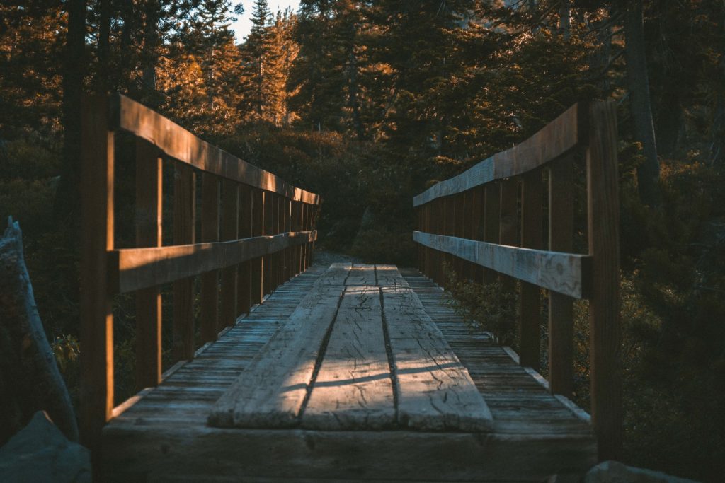 Holzbrücke im Wald