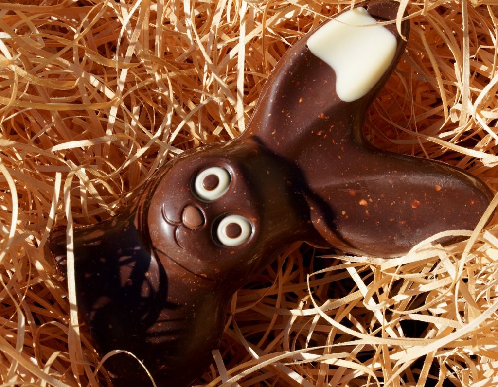 Schoko-Osterhase