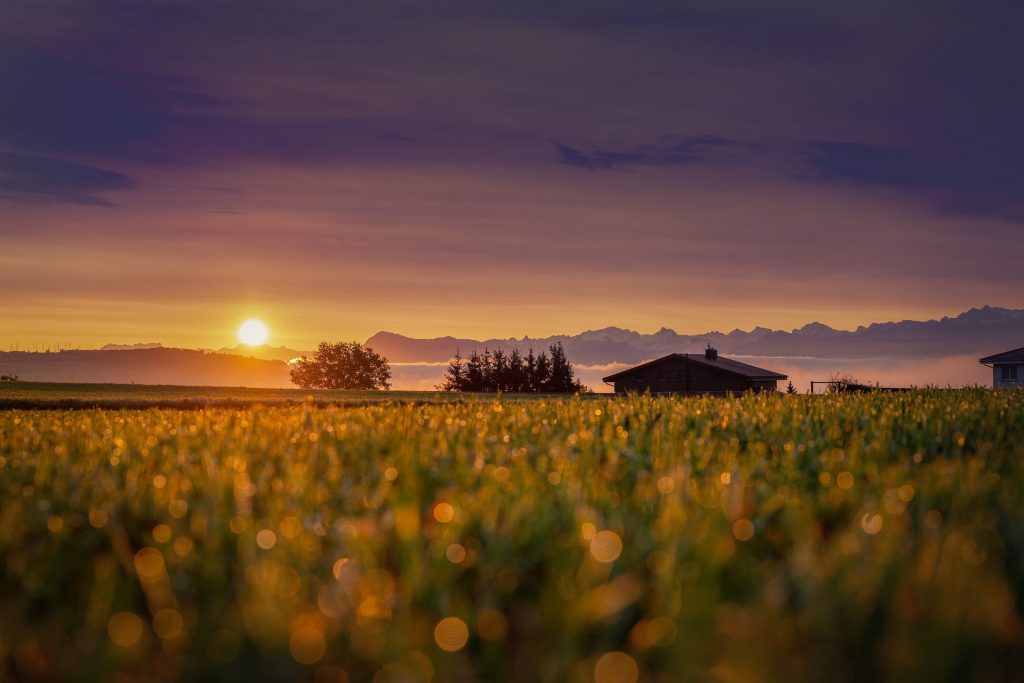 Ein Feld im Vordergrund, im Hintergrund sieht man ein Hausdach, Berge und die untergehende Sonne