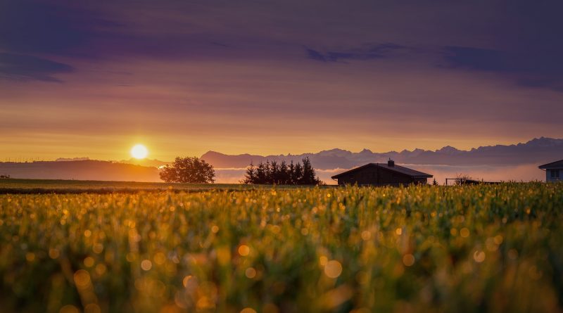 Ein Feld im Vordergrund, im Hintergrund sieht man ein Hausdach, Berge und die untergehende Sonne