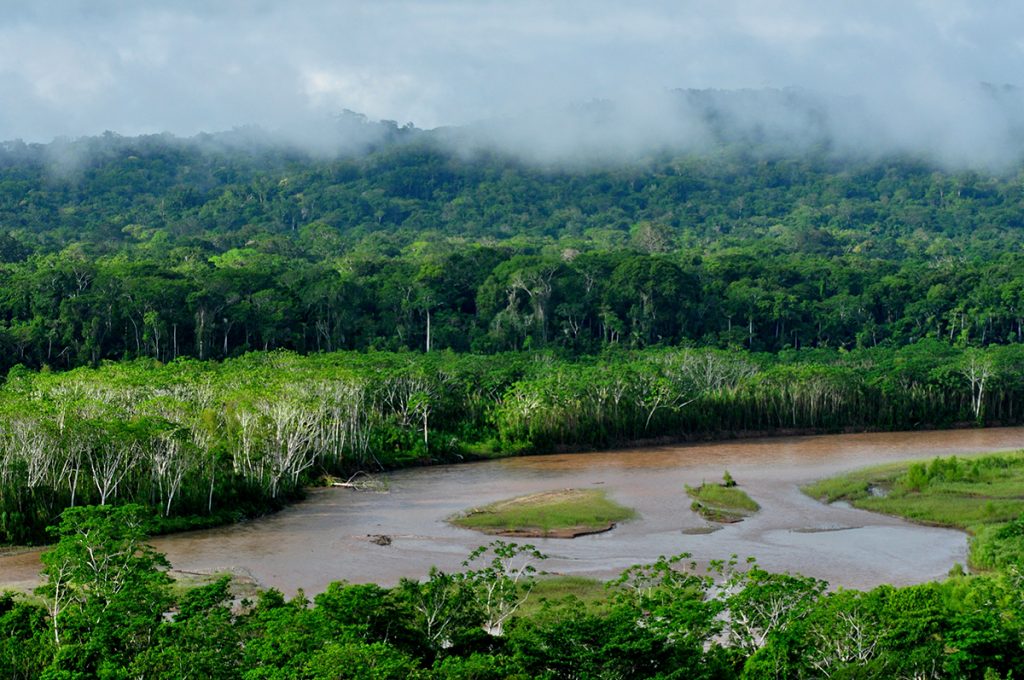 Regenwald in Bolivien
