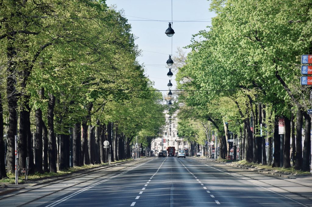 Blick auf die Wiener Ringstraße, am Rande viele grüne Bäume