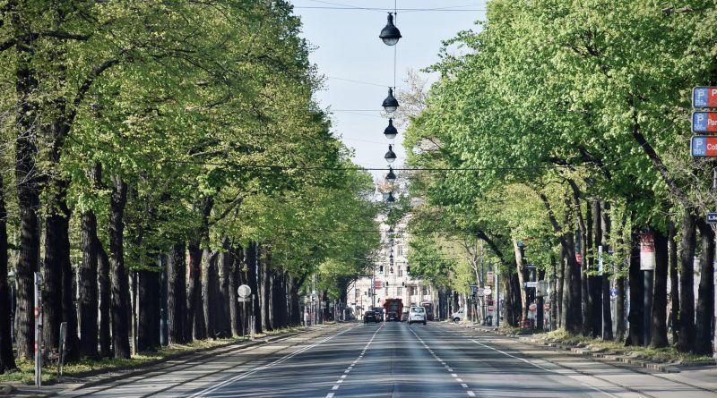 Blick auf die Wiener Ringstraße, am Rande viele grüne Bäume
