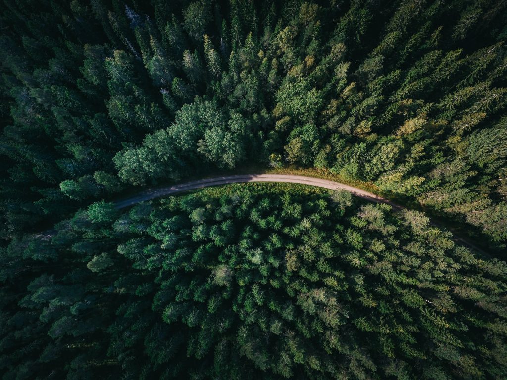 Straße durch einen dichten Wald von oben fotografiert