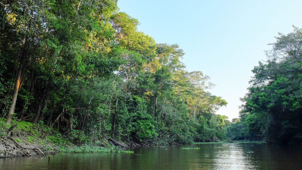 Amazonas Regenwald in Peru
