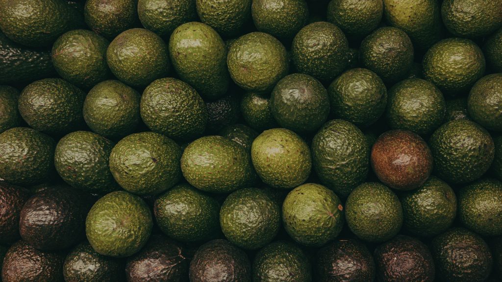 Ganze Avocados ein Reihen aufgelegt