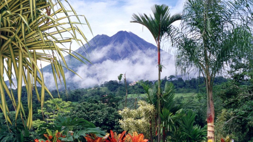 Blick in die Natur Costa Ricas