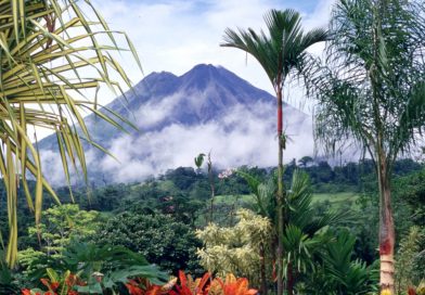 Blick in die Natur Costa Ricas