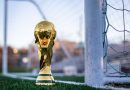 WM-Pokal vor einem Fußball-Tor auf dem Rasen