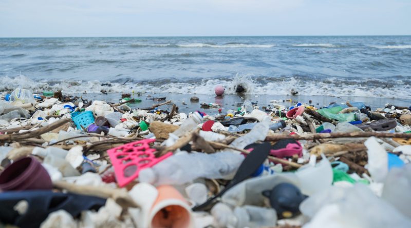 Plastikmüll an einem Strand in Honduras