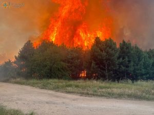 Waldbrand in der Ukraine