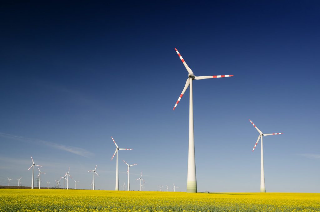 Windräder in einem gelben Feld, blauer Himmel