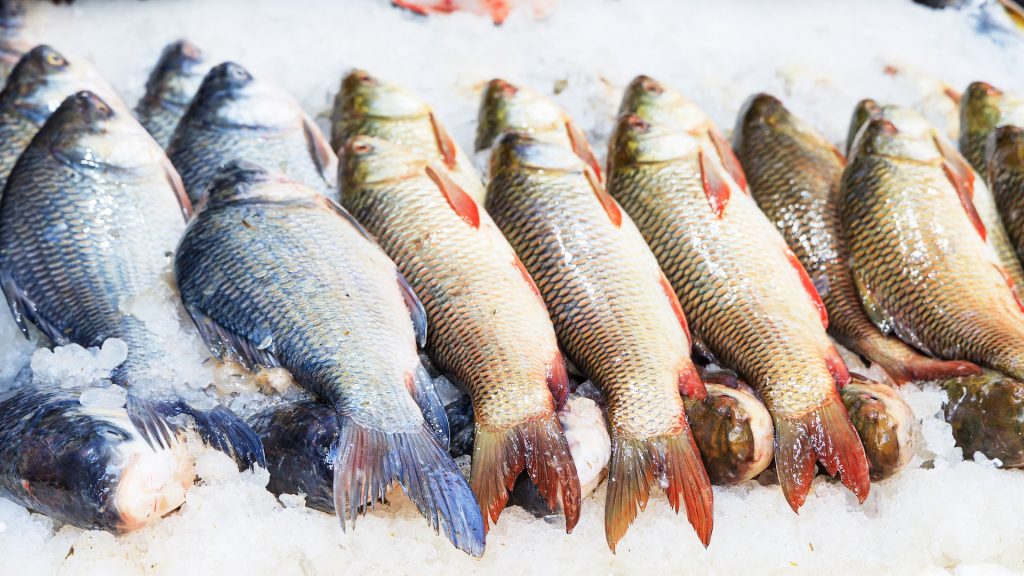 Tote Fische zum Verkauf angeboten