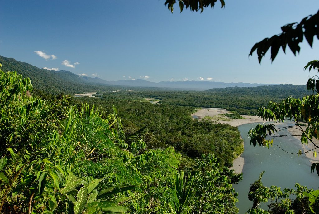 Blick auf den Amazonas-Regenwald in Peru