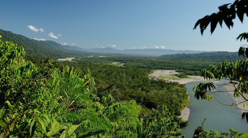 Blick auf den Amazonas-Regenwald in Peru