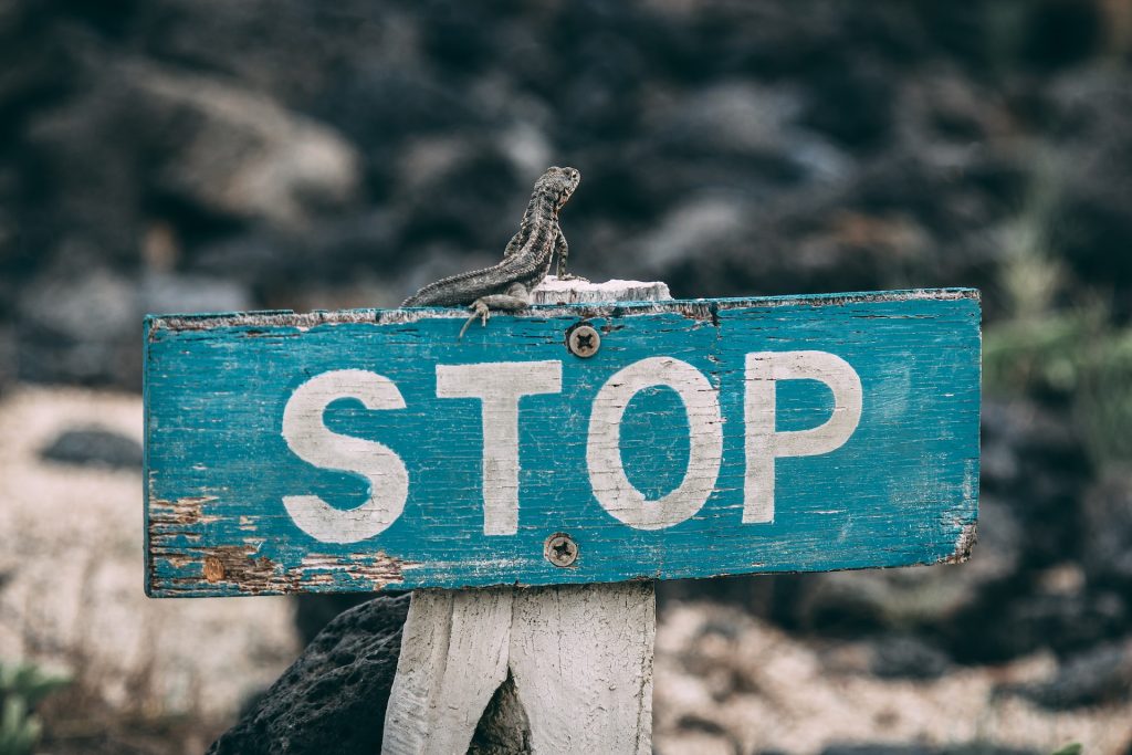 Blaues Schild mit Aufschrift STOP