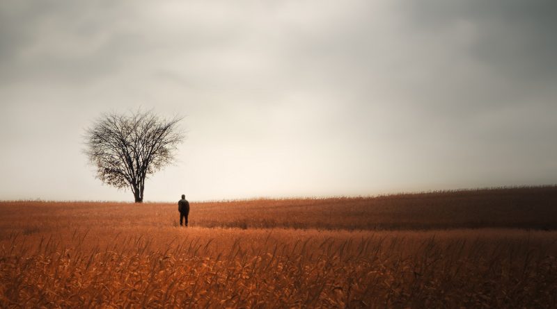 Person steht alleine in weiter Landschaft, am Horizont ein kahler Baum