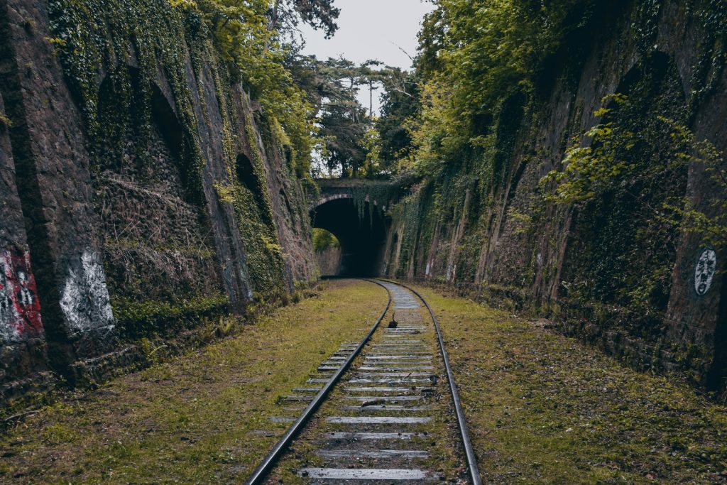 Gleis inmitten von Gras mit Tunnel im Hintergrund