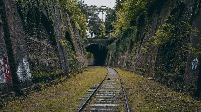 Gleis inmitten von Gras mit Tunnel im Hintergrund