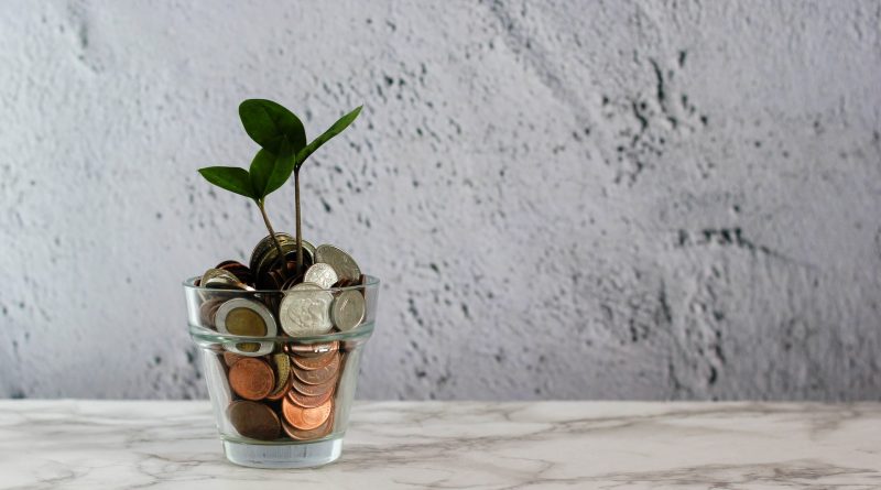 Pflanze "wächst" aus einem Glas mit Euro-Münzen