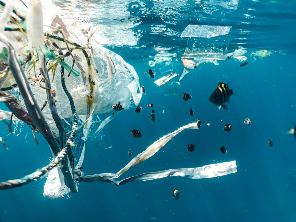 Plastikmüll im Meer, um den Fische schwimmen