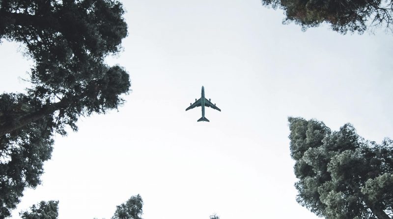Ein Flugzeug in der Luft zwischen Bäumen von unten fotografiert