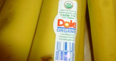 Nahaufnahme von Dole-Bananen