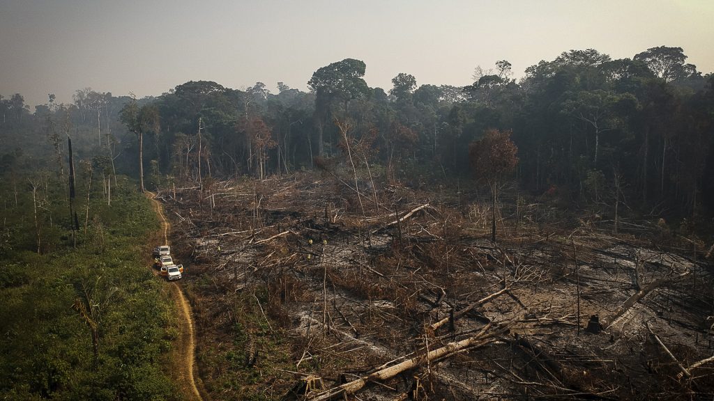 Gerodeter und abgebrannter Wald in der Gemeinde Apui im nordbrasilianischen Bundesstaat Amazonas.