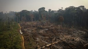 Gerodeter und abgebrannter Wald in der Gemeinde Apui im nordbrasilianischen Bundesstaat Amazonas.