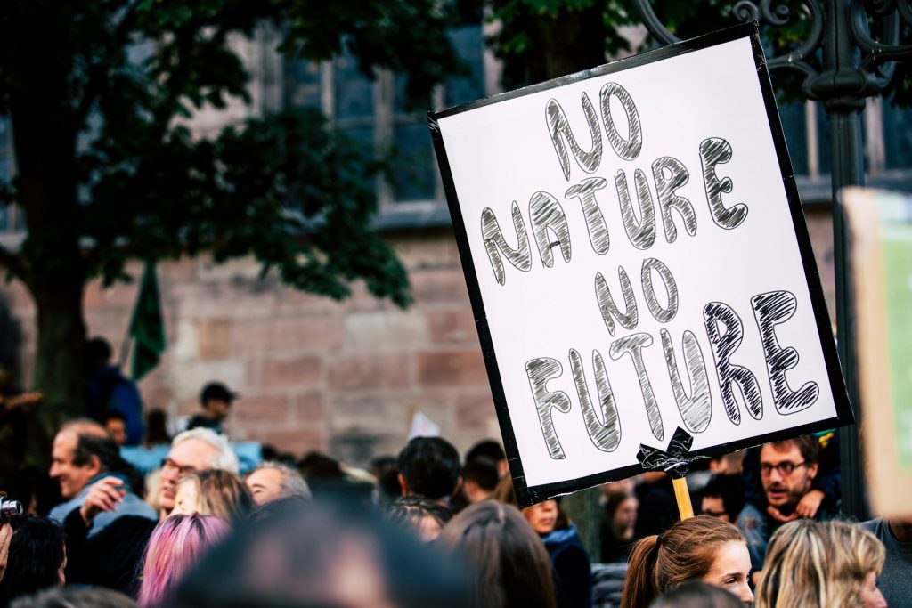 Demoschild: "No nature no future"