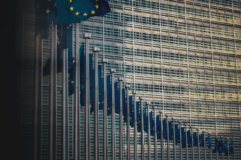 EU-Flaggen in einer Reihe