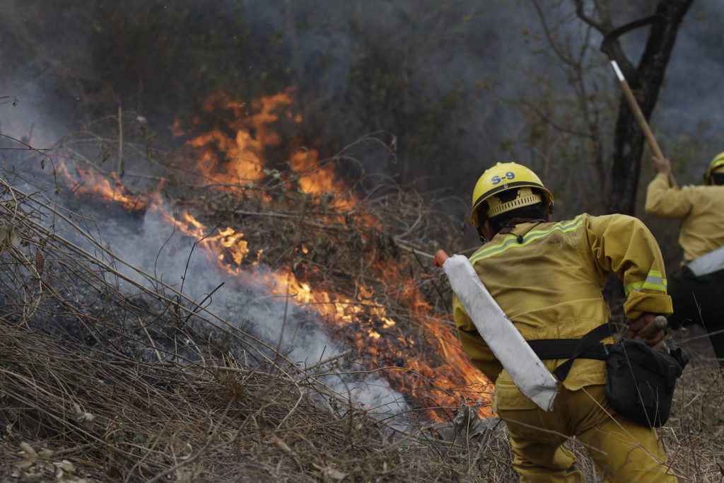 Waldbrand, Feuerwehrleute