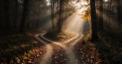 10 Jahre vereint – Ein ehrlicher Rückblick und ein entscheidender Ausblick