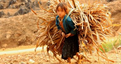 Die vergessenen 138 Millionen Kinder