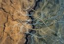 Israel und Palästina – die Zweistaatenlösung ersetzen