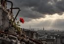 Vielleicht bin ich naiv – aber meine Hoffnung kriegt ihr nicht